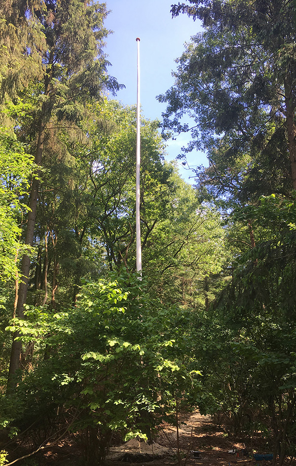 Flag pole